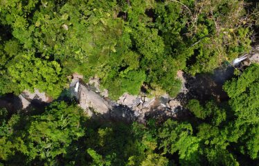 JUNGLE DREAMS FARM: WHERE NATURE MEETS SERENITY – 20 ACRES